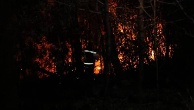 For the fifth day, firefighting teams continue their efforts to control the Latakia fires