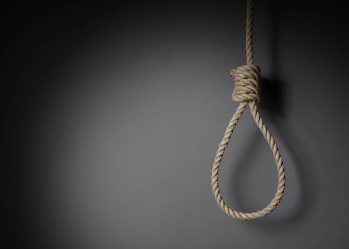 172 Syrians committed suicide since January: official