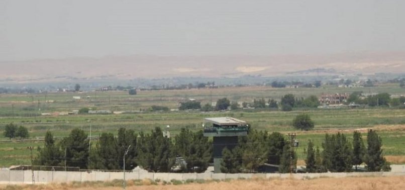 Turkey plants 75,000 trees in northern Syria
