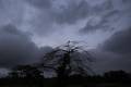 Heavy rains, landslides leave 18 dead in south India