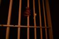 Prison riot and fire in a northern Syrian town kills at least seven