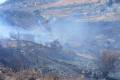 Syria Civil Defense responds to 23 crashes, 83 fires in 24 hours