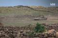 Israeli occupation advances into vicinity of Eastern Samdaniya in Quneitra Countryside