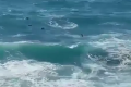 Boat carrying migrants sinks off Syria, at least 34 dead