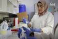 FAO delivers 1.5 million foot-and-mouth disease vaccine doses to Syria