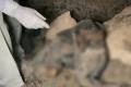 Security forces recover two mass graves in Homs