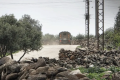 Israeli occupation forces open fire on shepherds in Quneitra 