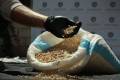 Drug Enforcement Department foils drug smuggling attempt to Jordan in Sweida