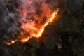 Turkey sends firefighting aircraft to Syria as wildfires rage on both sides of the border