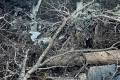 Six dead after plane crash in Russian far east involving ageing plane