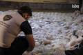 Syria seizes 2 million Captagon pills, dismantles trafficking network in Tartous