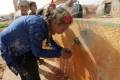 Syria cholera death toll rises to 29 — health ministry