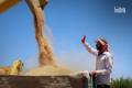 Syria receives 2.7 million tons of wheat, exceeding annual needs