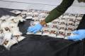 Drug Enforcement Department in Homs neutralizes leading drug trafficking network chief