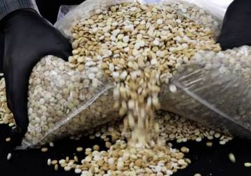 Security forces seize 335,000 Captagon pills in central Syria