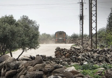 Israeli occupation forces open fire on shepherds in Quneitra 