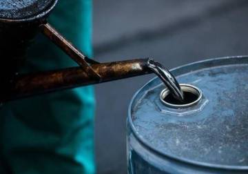 $12 million for fledgling company: Oil contract details