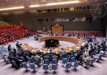 UN Security Council welcomes Syria-OPCW progress on chemical weapons file