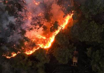 Turkey sends firefighting aircraft to Syria as wildfires rage on both sides of the border