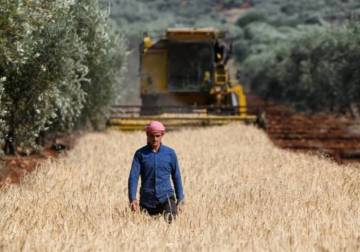 Agrarian reform law stirs controversy in Syria