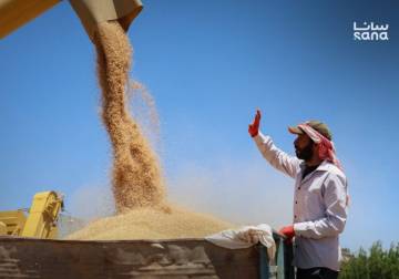 Syria receives 2.7 million tons of wheat, exceeding annual needs