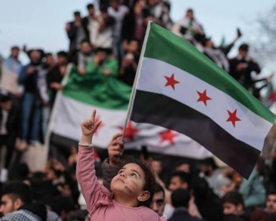 New Syria not require old regime figures- Opinion