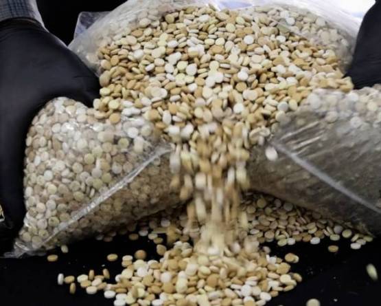 Security forces seize 335,000 Captagon pills in central Syria