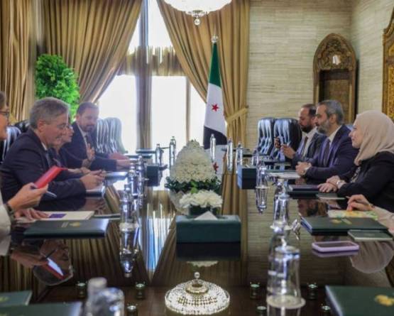Al-Shaibani, German delegation discuss economic and development cooperation