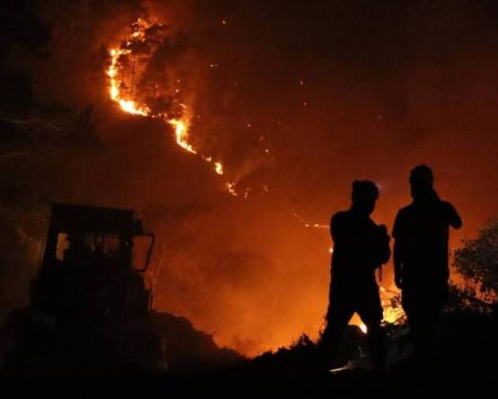 Syrian-Turkish coordination to extinguish Latakia fires