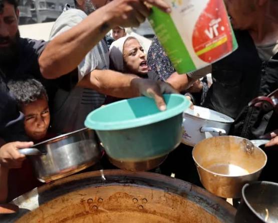 Need for food ‘desperate’ in Gaza as Israel blocks aid: WFP