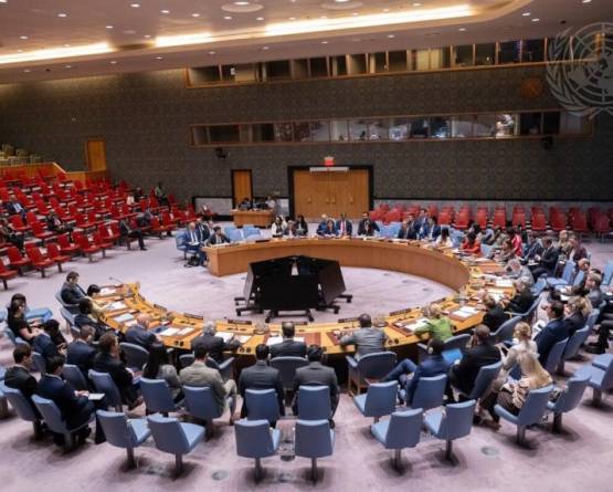UN Security Council welcomes Syria-OPCW progress on chemical weapons file