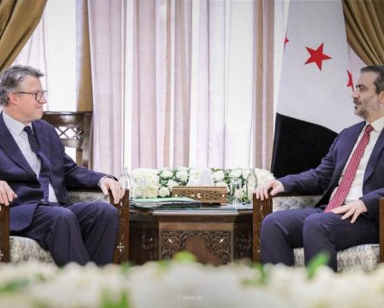 Syrian foreign minister meets German state minister in Damascus to boost ties
