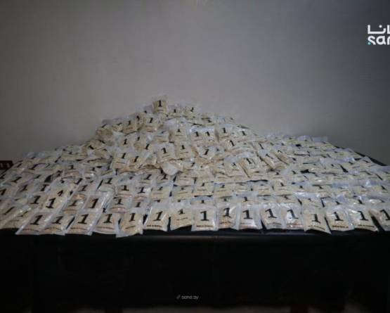 Joint Syrian-Iraqi operations seize 1 million Captagon pills