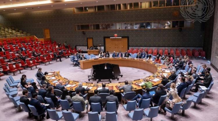 UN Security Council welcomes Syria-OPCW progress on chemical weapons file