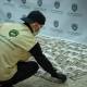 Syria seizes nearly 700 million Captagon pills, dismantles 90 networks in 18 months
