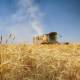 Syria launches wheat procurement season amid forecast of 2.5 million-ton harvest