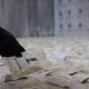 Syrian authorities seize 850,000 narcotic pills in anti-smuggling operation
