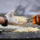 Smuggling of over 100,000 Captagon pills into Saudi Arabia thwarted