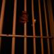 Prison riot and fire in a northern Syrian town kills at least seven