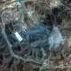 US bombing ‘seriously damaged’ Iran’s Fordow nuclear site: Araghchi