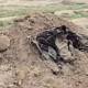 Two mass graves exhumed south of Damascus: Footage