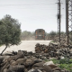 Israeli occupation forces open fire on shepherds in Quneitra 