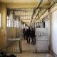 Saydnaya Prison: Execution Records Reveal a 