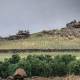  Israeli occupation targets Yarmouk Basin with artillery shells