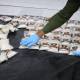 Drug Enforcement Department in Homs neutralizes leading drug trafficking network chief
