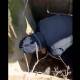 Mass grave discovered near Homs-Tartous highway